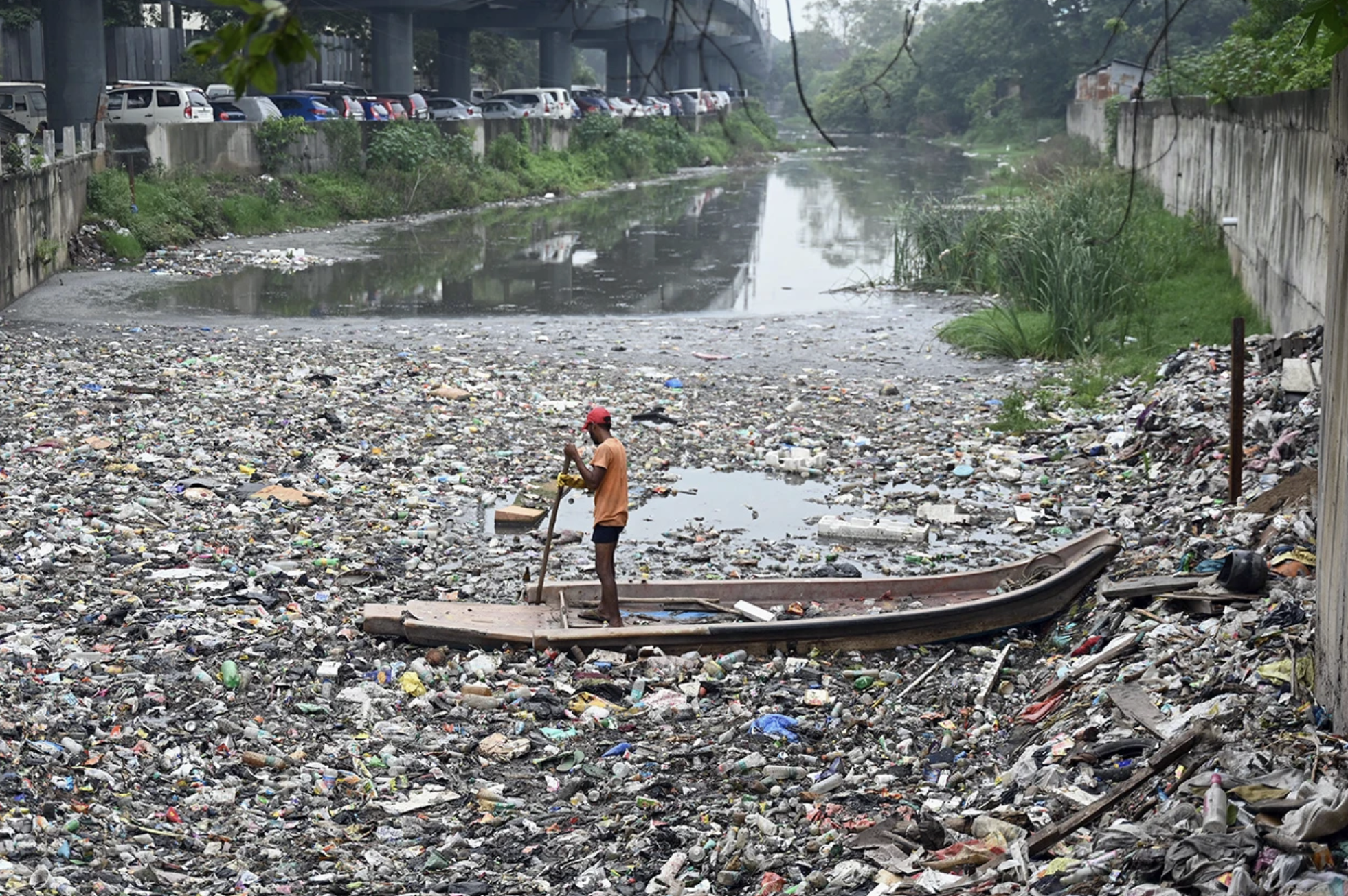 Plastic Pollution A Planetary Scourge